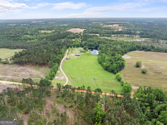 233 Clark Rd, Midville, GA 30441 - aerial view of property's location with a large body of water and a heavily wooded area