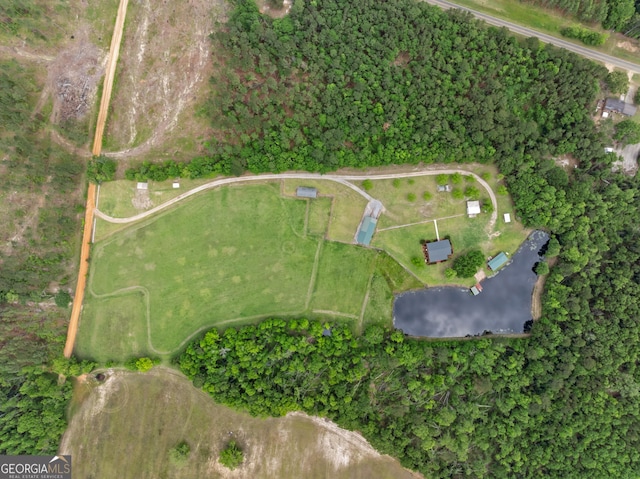 233 Clark Rd, Midville, GA 30441 - aerial view
