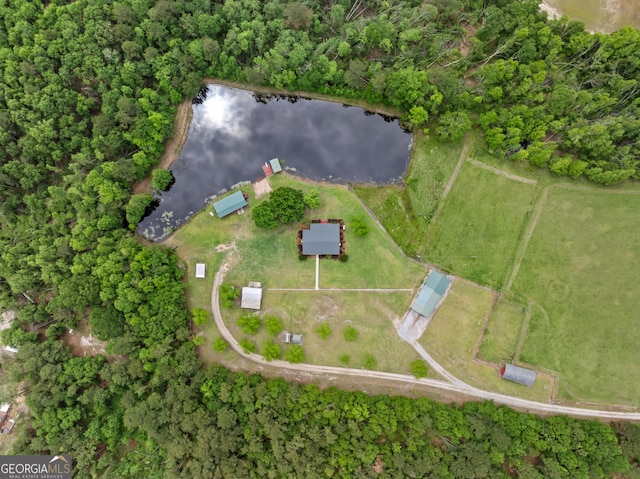 233 Clark Rd, Midville, GA 30441 - aerial overview of property's location with a nearby body of water
