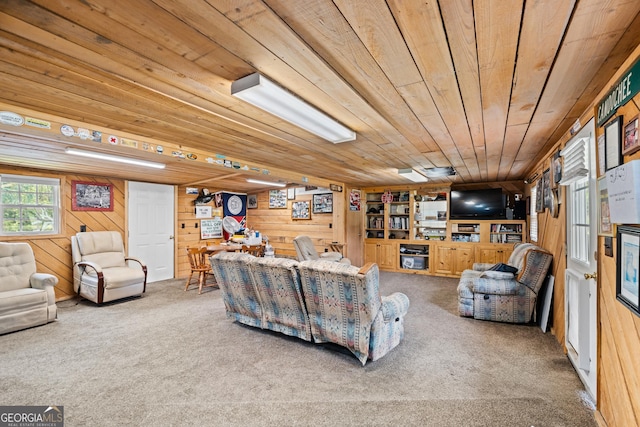 233 Clark Rd, Midville, GA 30441 - carpeted living area with wooden ceiling and wood walls