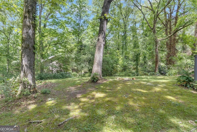 view of green lawn with a view of trees