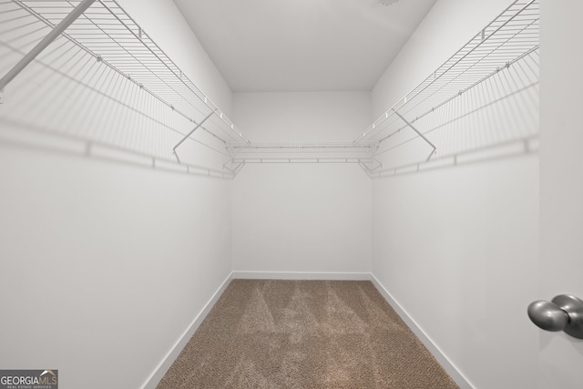 spacious closet with carpet floors