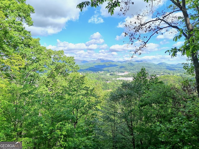view of mountain background featuring a heavily wooded area