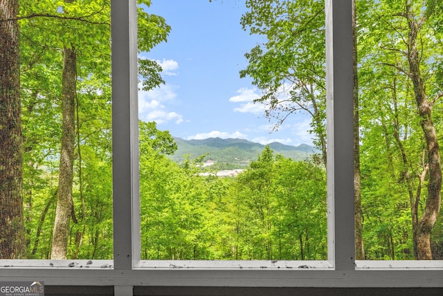 mountain view