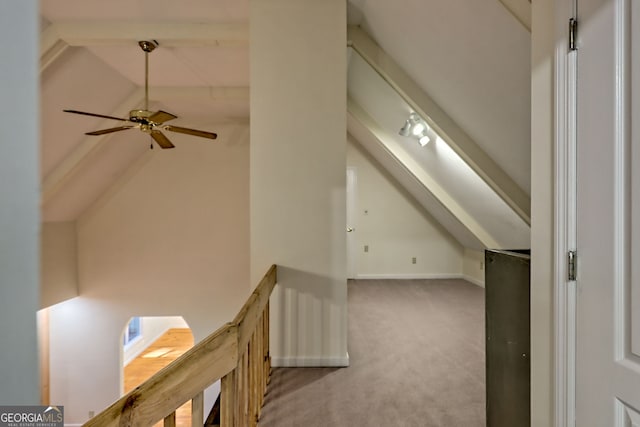 additional living space featuring carpet, a ceiling fan, and baseboards