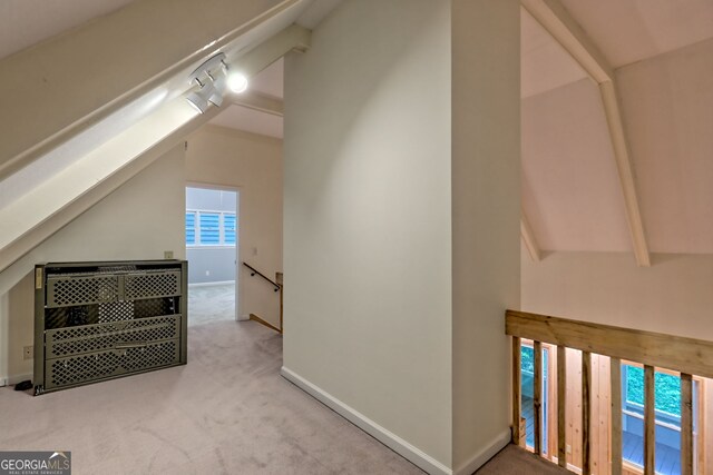additional living space with carpet and baseboards