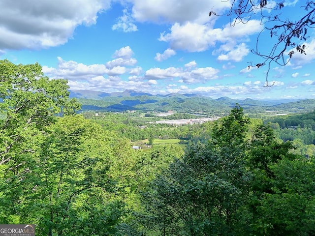 mountain view with a heavily wooded area