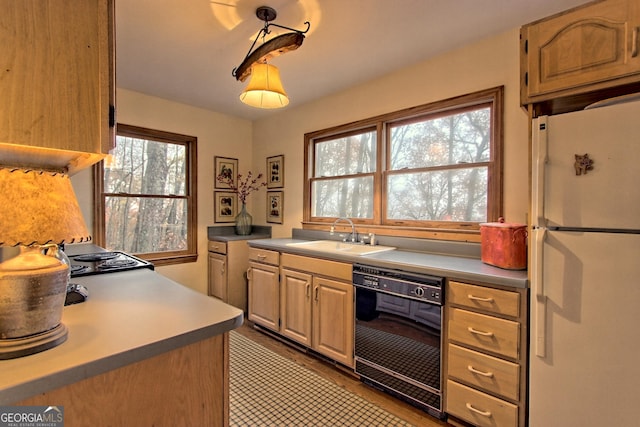 kitchen with freestanding refrigerator, a sink, dishwasher, light countertops, and light wood finished floors