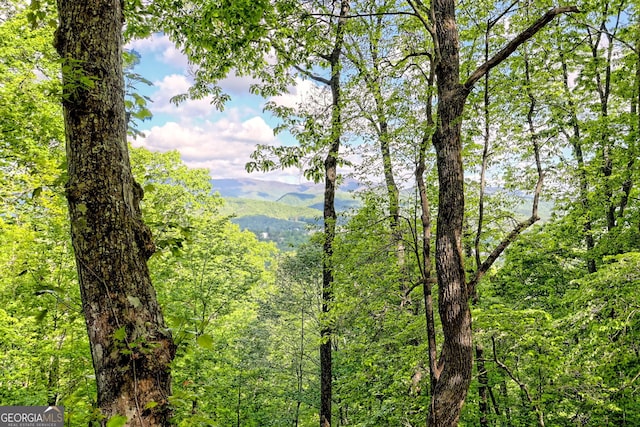 view of mountain backdrop featuring a forest