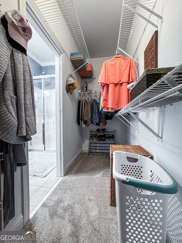 58 Gables Way, Newnan, GA 30265 - walk in closet with carpet floors
