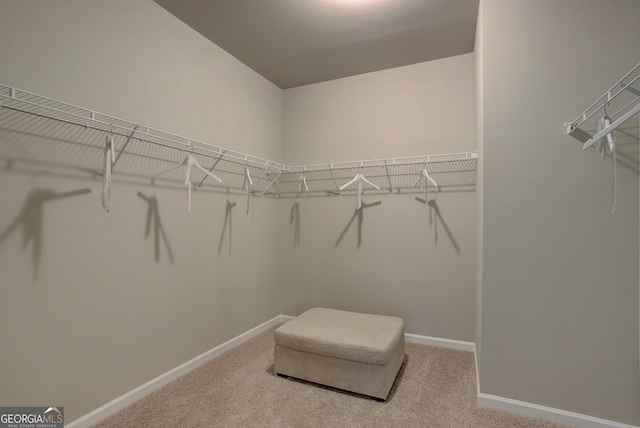 spacious closet with carpet