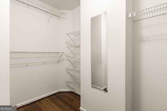 walk in closet with dark wood-style floors