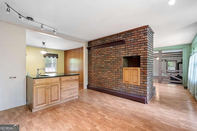unfurnished living room with light wood finished floors, a sink, baseboards, and track lighting