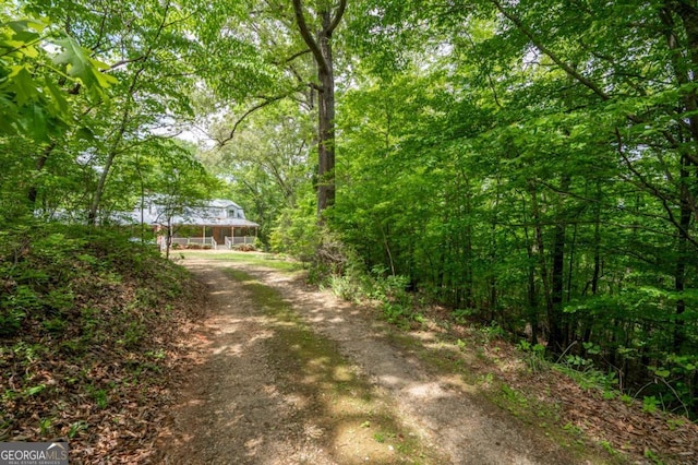 view of dirt / gravel driveway with a forest view