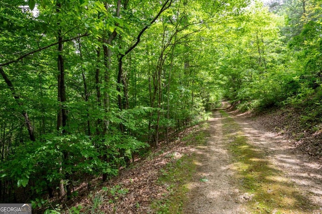 view of dirt / gravel road with a forest view
