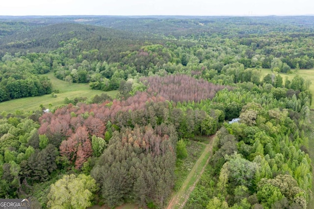 bird's eye view of a forest