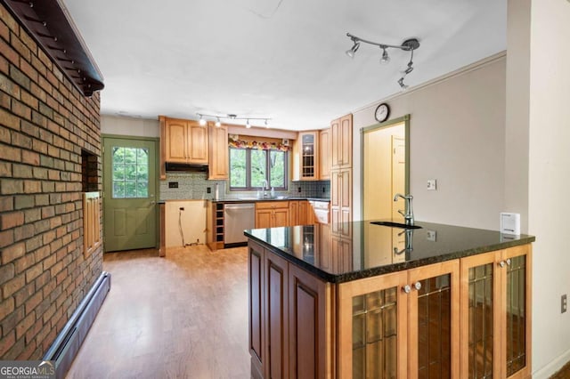 kitchen featuring stainless steel dishwasher, a sink, rail lighting, under cabinet range hood, and glass insert cabinets