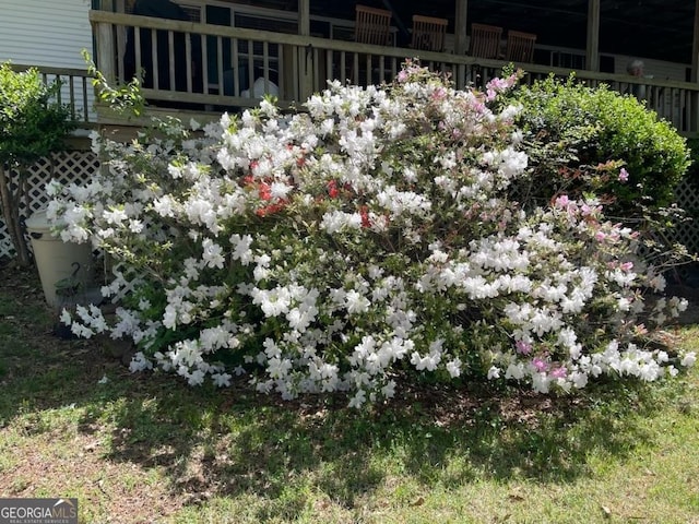 317 Cedar Dr NW, Sparta, GA 31087 - exterior view