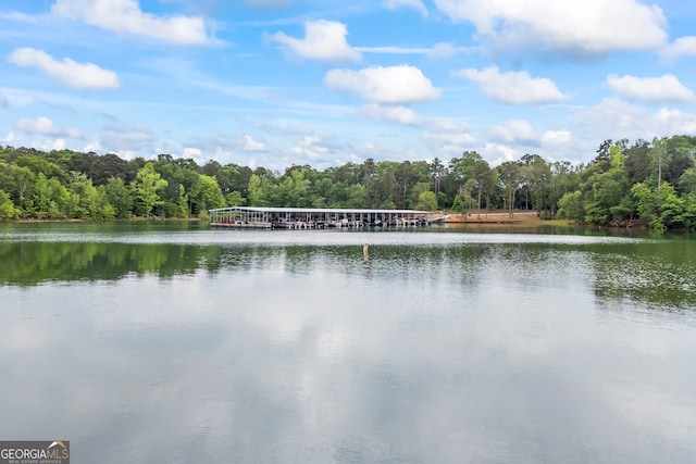 water view featuring a heavily wooded area
