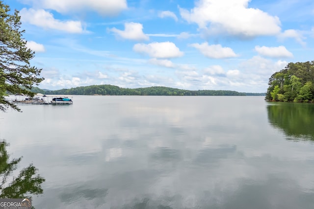 water view featuring a heavily wooded area