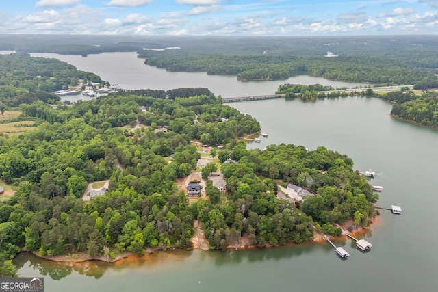 aerial view of a nearby body of water and a heavily wooded area