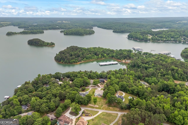bird's eye view of a large body of water and a forest