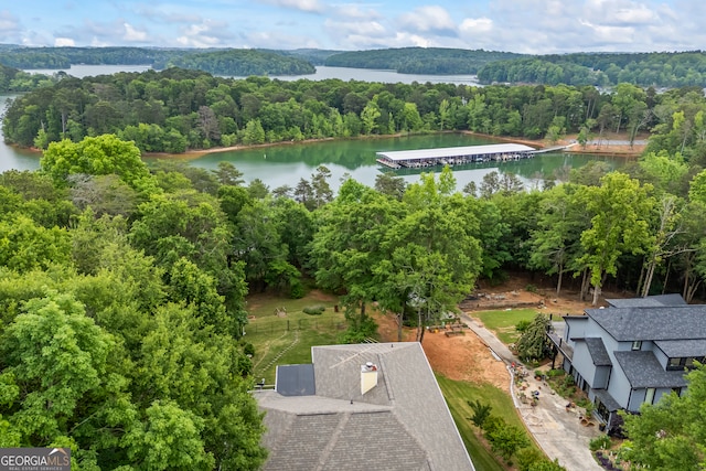 aerial view of a forest and a nearby body of water