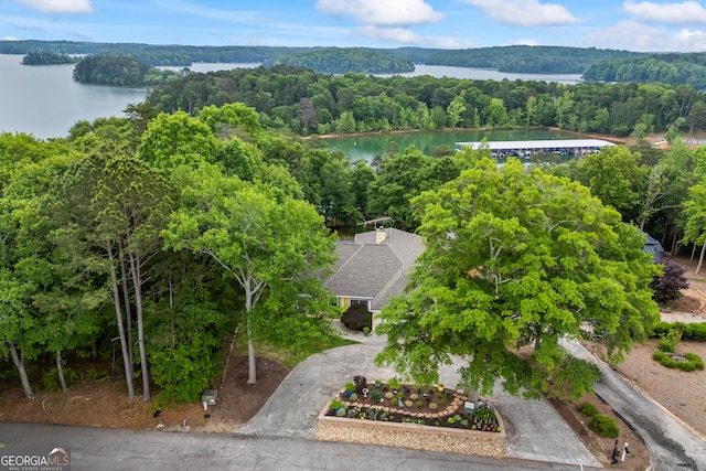 drone / aerial view of a forest and a nearby body of water