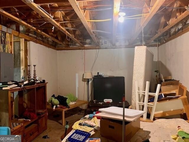 118 High Ridge Ln, Dahlonega, GA 30533 - unfinished basement featuring electric panel