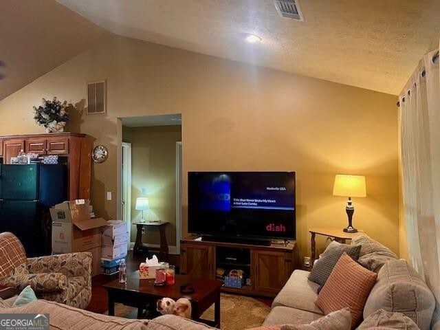 118 High Ridge Ln, Dahlonega, GA 30533 - living area with lofted ceiling