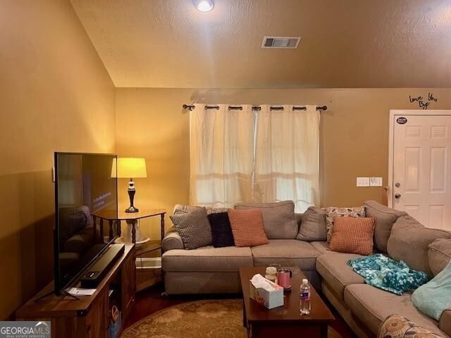 118 High Ridge Ln, Dahlonega, GA 30533 - living room with vaulted ceiling
