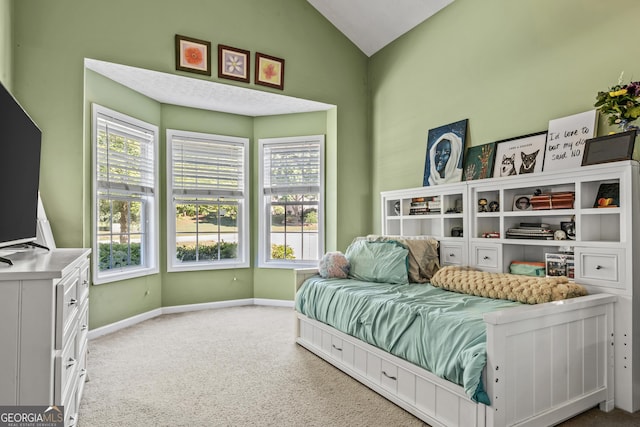 108 Wortham Dr, Buckhead, GA 30625 - bedroom with lofted ceiling, carpet, multiple windows, and baseboards