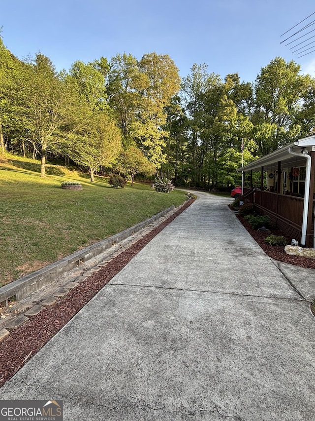 view of community with a lawn