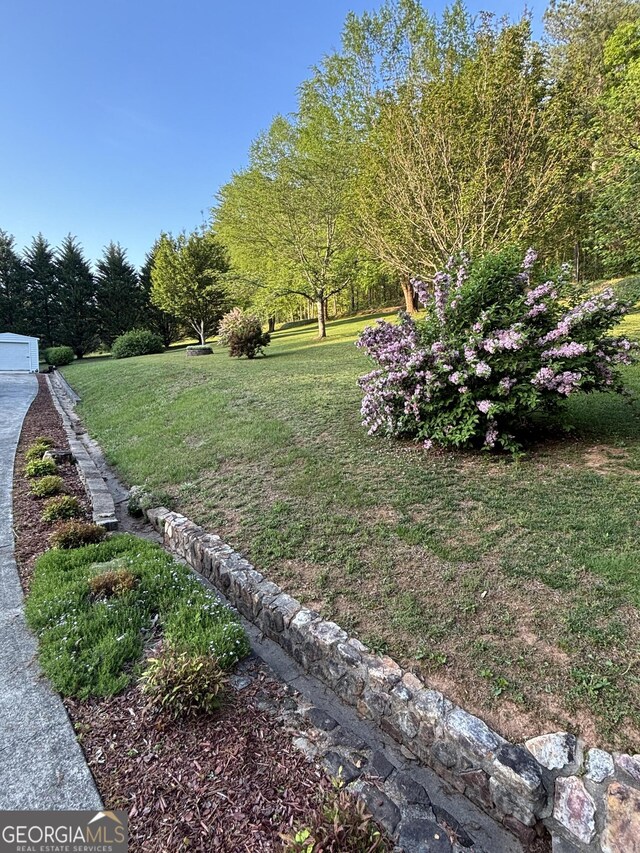 view of green lawn