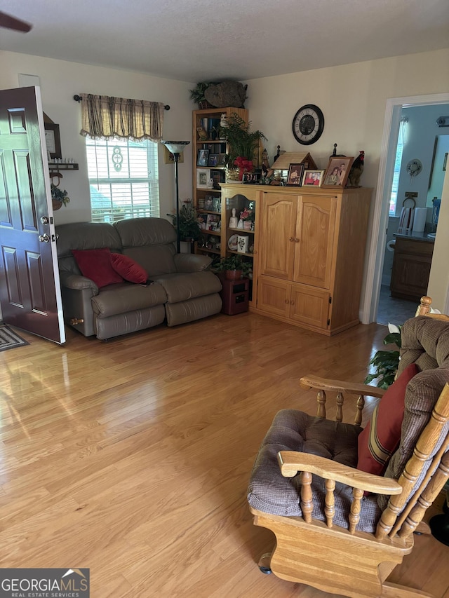 living room with light wood finished floors