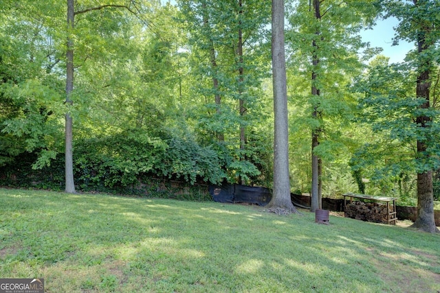 3449 Archwood Dr, Doraville, GA 30340 - view of green lawn