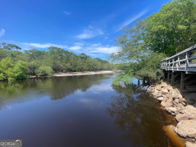 750 Warners Lndg, Hortense, GA 31543 - water view with a forest