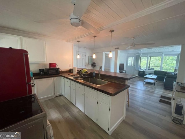 750 Warners Lndg, Hortense, GA 31543 - kitchen featuring a sink, dark countertops, a peninsula, a ceiling fan, and dark wood finished floors