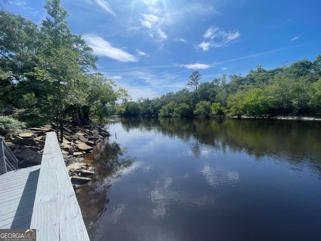750 Warners Lndg, Hortense, GA 31543 - water view with a forest