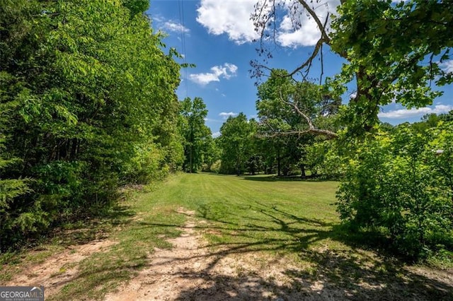 5519 Latty Rd, Lula, GA 30554 - view of green lawn featuring a wooded view