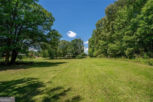 view of grassy yard