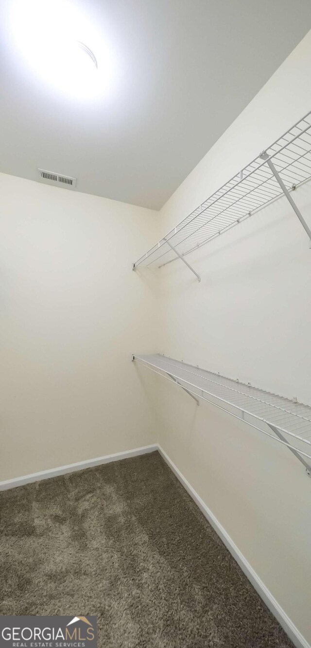 416 Clarion Dr, Carrollton, GA 30116 - spacious closet featuring carpet