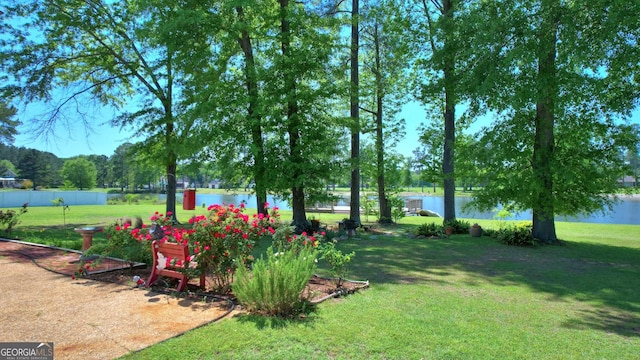 114 N Valhalla Dr, Cordele, GA 31015 - view of yard with a water view