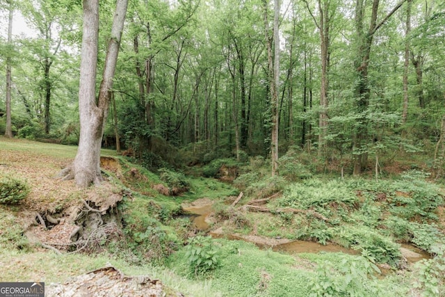 view of tree filled area