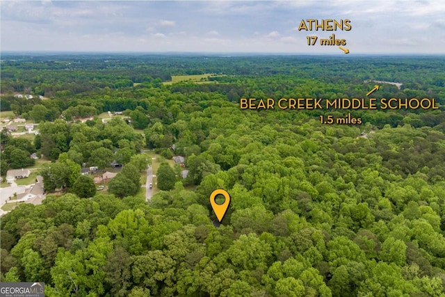drone / aerial view of a forest