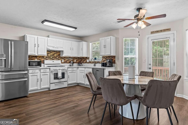 26 Springbottom Dr, Lawrenceville, GA 30046 - kitchen with stainless steel appliances, under cabinet range hood, decorative backsplash, ceiling fan, and white cabinetry