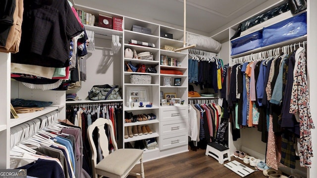 100 Maple Leaf Rd, Sharpsburg, GA 30277 - walk in closet with dark wood-style floors