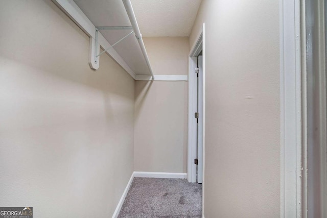 spacious closet with carpet
