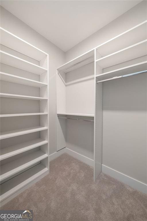 spacious closet with carpet flooring