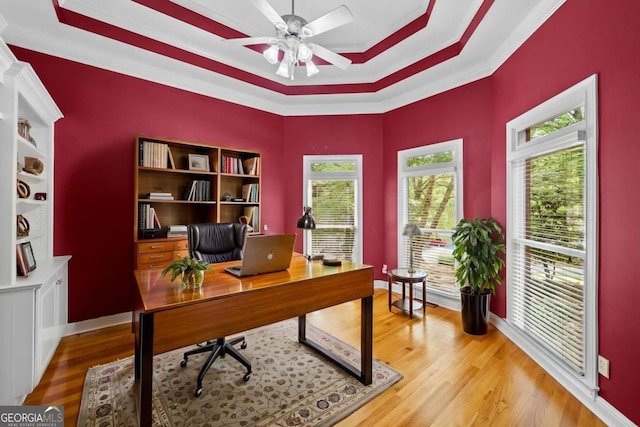 office space with ceiling fan, a raised ceiling, light wood-style floors, and ornamental molding